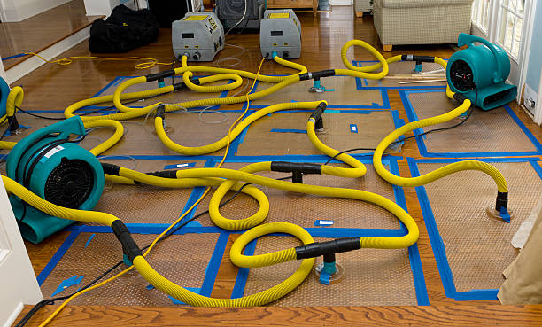 Professional Storm Water Damage Restoration technician working in Williams, OR